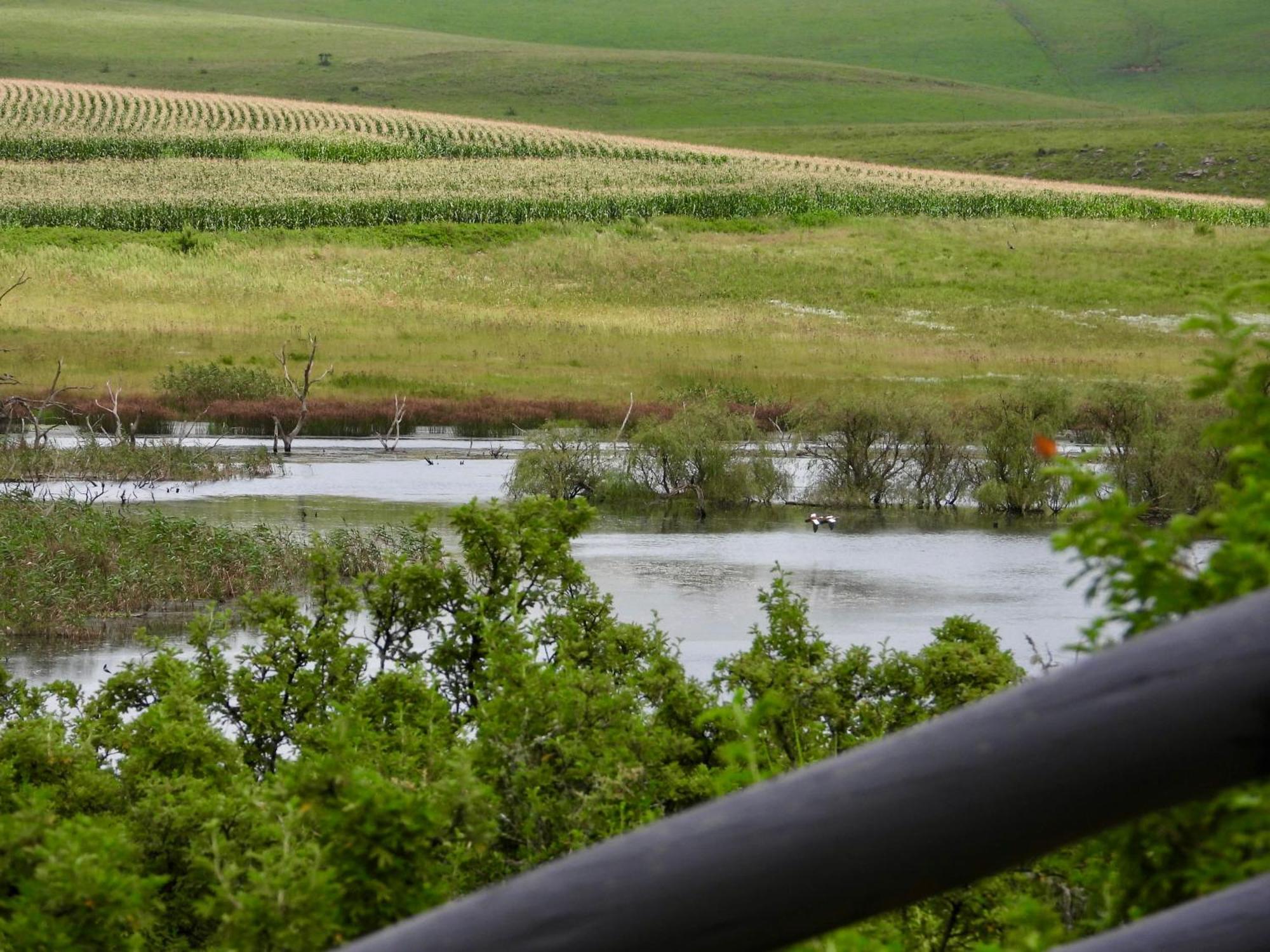 Rosetta Fields Country Lodge Henburg Park المظهر الخارجي الصورة